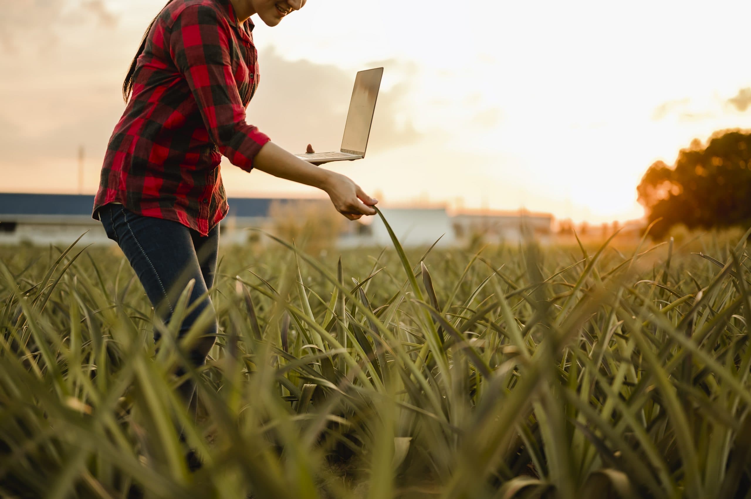 Quais os melhores notebooks para agricultura de precisão?